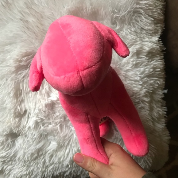 Pink nation dog - Picture 4 of 5